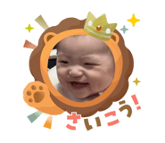801293995
