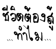 801305400