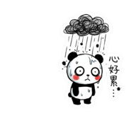 801315317