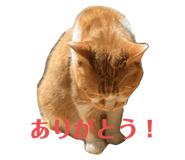 801336764