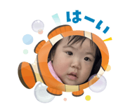 801339711