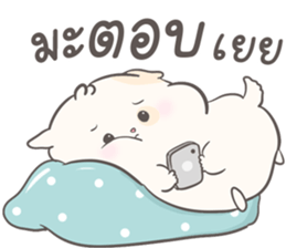 ลายที่ 5