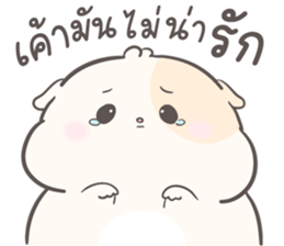 ลายที่ 9