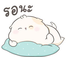 ลายที่ 25