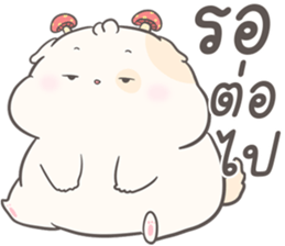 ลายที่ 27