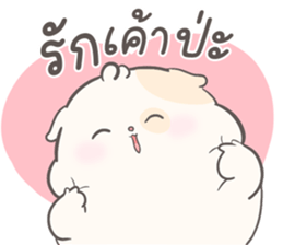 ลายที่ 29