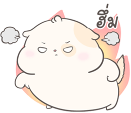 ลายที่ 43