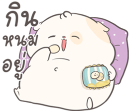 ลายที่ 49