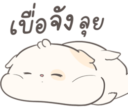 ลายที่ 51