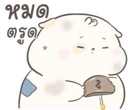 ลายที่ 71