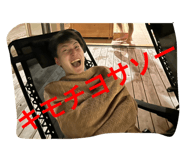 801343155