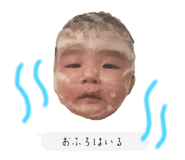 801350962