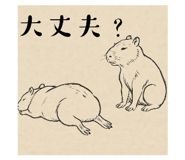 801352277