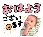 801352535