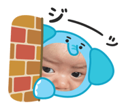 801393294