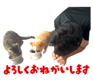 801411802