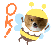 801421449