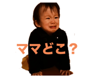 801436054