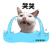 801446487