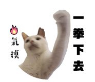 801446497
