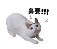 801446502