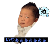 801493232