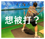 801505466