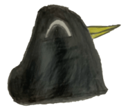 801562083