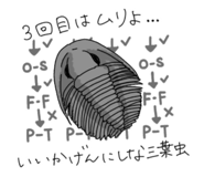 801575744