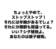 801575748