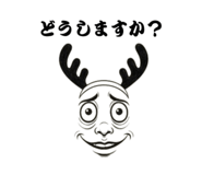 801577740