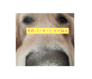 801582650