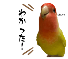 801601807