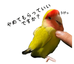 801601810