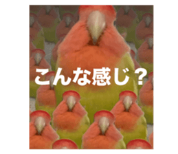 801601812