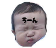 801635426