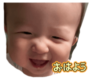 801635428