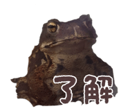 801637171