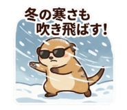 801643040