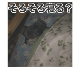 801654573