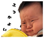 801746006