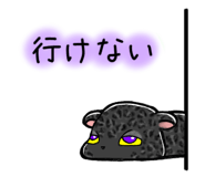801752212