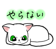 801752353