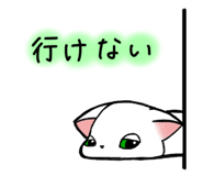 801752356