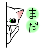 801752365