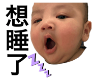 801756026