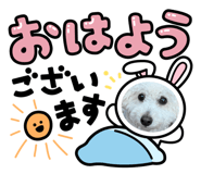 801756154