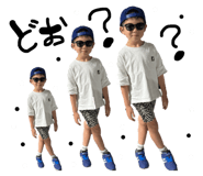 801758088