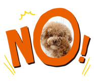 801759846