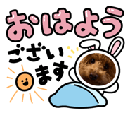 801768501
